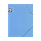 Папка на резинке А4 ErichKrause "Matt Pastel Bloom", в пакете, МИКС 10229112 - фото 16307883