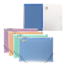 Папка-картотека ErichKrause 'Matt Pastel Bloom', A4, с 13 цветными отделениями, в пакете, МИКС