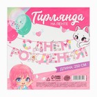 Гирлянда на ленте «С Днем Рождения», 250 см - Фото 5
