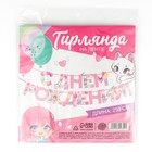 Гирлянда на ленте «С Днем Рождения», 250 см - Фото 6