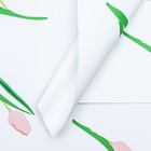 Пленка для цветов матовая, "Акварельные тюльпаны", 56х56см, розовые - фото 320786308