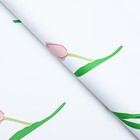 Пленка для цветов матовая, "Акварельные тюльпаны", 56х56см, розовые - Фото 2