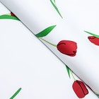 Пленка для цветов матовая, "Акварельные тюльпаны", 56х56см, бордовые - Фото 2