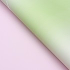 Пленка для цветов матовая, розовый - травяной, «Переход», 58×58 см - Фото 3