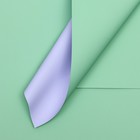 Пленка для цветов матовая, зелёный - голубой, 56×57 см - Фото 1