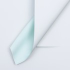 Пленка для цветов матовая, небесно голубой, 56×57 см - Фото 1