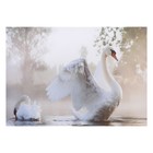 Картина "Лебеди" 50*70 см - фото 301539237
