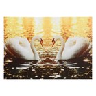Картина "Два лебедя" 50*70 см - фото 320786542