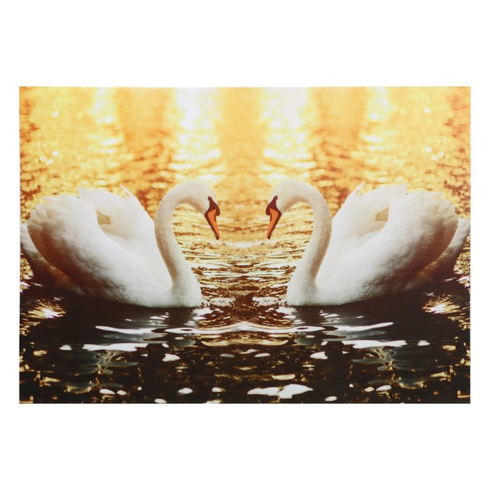 Картина "Два лебедя" 50*70 см