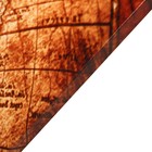 Картина "В путь" 50*70 см - фото 23404228