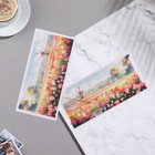 Конверт для денег "Универсальный" поле тюльпанов, 8х16,3 см 10243493