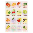 Магнитный набор «Буквы прилипалы. Овощи» - фото 8544444