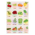Магнитный набор «Буквы прилипалы. Овощи» - фото 8544445