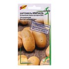Семена Картофель "Импала", 25 шт - фото 320816053