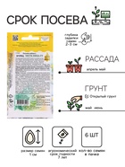 Семена Огурец "Метелица F1", 6 шт - Фото 2