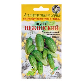 Семена Огурец "Нежинский", 10 шт 10230849