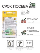 Семена Огурец "Пиколино F1", 6 шт - Фото 2