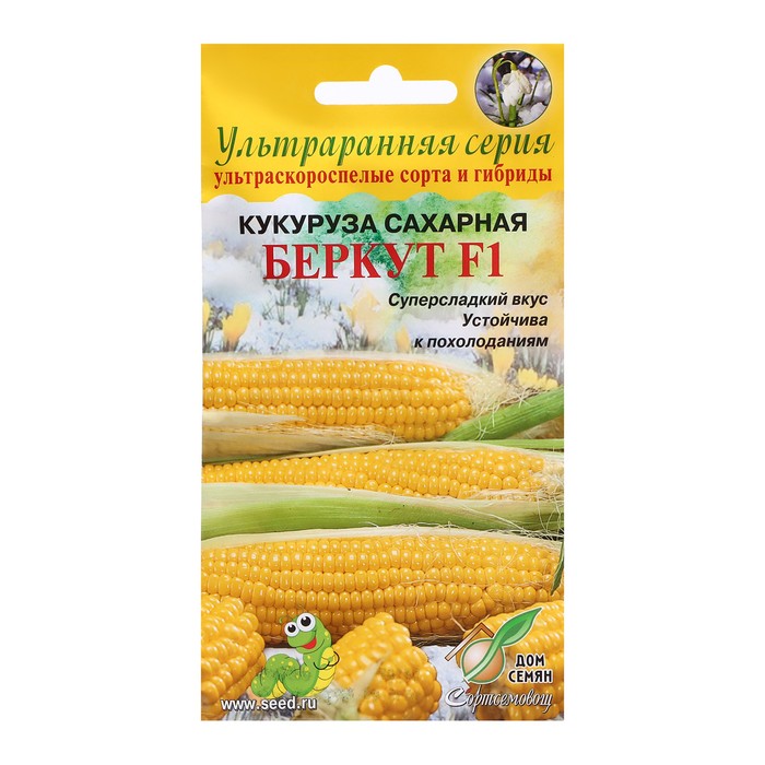 Семена Кукуруза "Беркут F1" сахарная, 8 шт