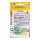 Семена Кабачок «Арал F1», 5 шт., ультраранний, «Дом семян» - Фото 2