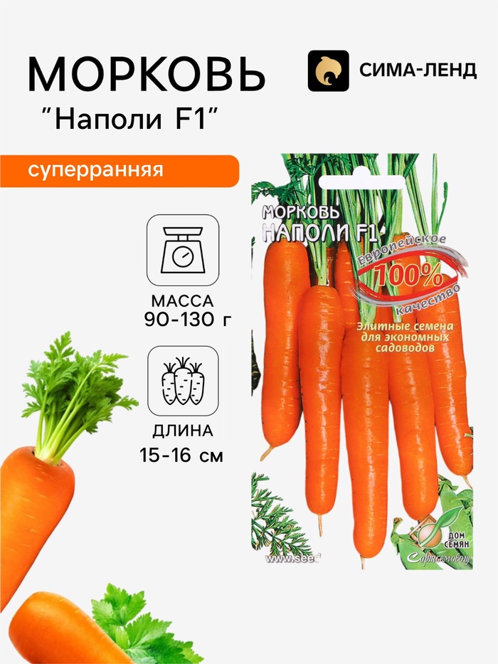 Семена Морковь «Наполи» F1, 100 шт., «Дом семян» - Фото 1