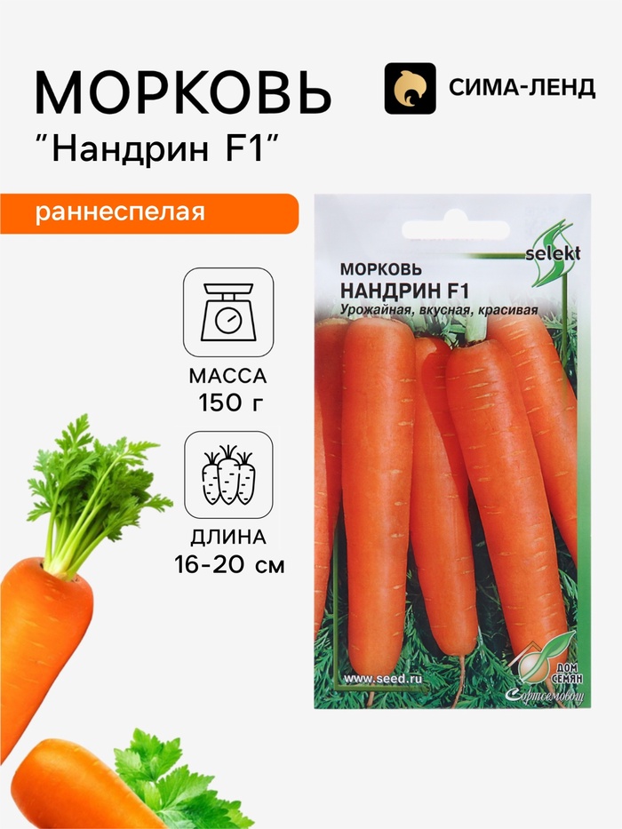 Семена Морковь «Нандрин» F1, 100 шт. - Фото 1
