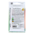 Семена Морковь "Нандрин F1", 190 шт - Фото 2