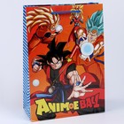 Пакет подарочный глянцевый «Аниме», 22×31×10 см - Фото 1