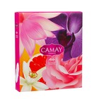 Набор мыла Camay: с ароматом розы,черной орхидеи,грейпфрута,акватичных цветов, 4 шт по 85 г - Фото 1