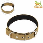 Ошейник брезентовый с подкладом, 72×3.5 см, песочный - Фото 2