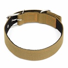 Ошейник брезентовый с подкладом, 72×3.5 см, песочный - Фото 3