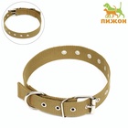 Ошейник брезентовый безразмерный однослойный, 72×3.5 см, песочный - Фото 2