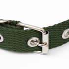 Ошейник брезентовый однослойный, 52×2 см, хаки - Фото 4