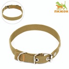 Ошейник брезентовый однослойный, 52×2 см, песочный - Фото 2
