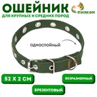 Ошейник брезентовый безразмерный однослойный, 52×2 см, тёмно-зелёный - Фото 1