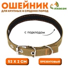 Ошейник брезентовый с подкладом, 52 х 2 см, песочный - Фото 1