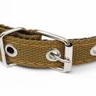 Ошейник брезентовый с подкладом, 52 х 2 см, песочный - Фото 4