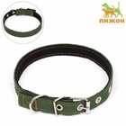 Ошейник брезентовый с подкладом, 52×2 см, тёмно-зелёный - Фото 2