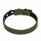 Ошейник брезентовый с подкладом, 52×2 см, тёмно-зелёный - Фото 3