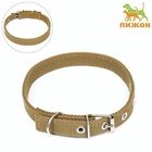 Ошейник брезентовый двухслойный, 52×2 см, песочный - Фото 2
