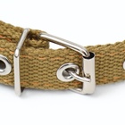 Ошейник брезентовый двухслойный, 52×2 см, песочный - Фото 4