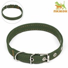 Ошейник брезентовый двухслойный, 52×2 см, тёмно-зелёный - Фото 2