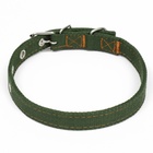 Ошейник брезентовый двухслойный, 52×2 см, тёмно-зелёный - Фото 3
