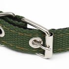 Ошейник брезентовый двухслойный, 52×2 см, тёмно-зелёный - Фото 4
