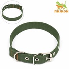 Ошейник брезентовый однослойный, 58×2.5 см, хаки - Фото 2