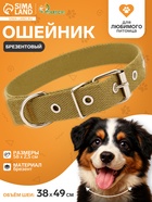 Брезентовый ошейник, 58×2.5 см, однослойный, цвет песочный - Фото 1