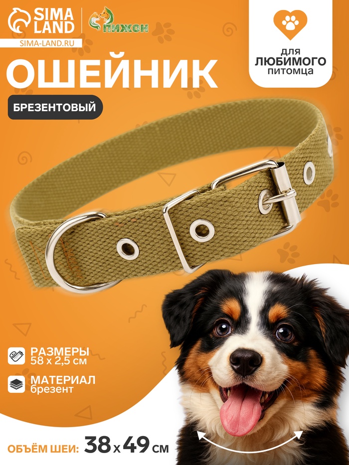 Брезентовый ошейник, 58×2.5 см, однослойный, цвет песочный - Фото 1