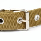 Ошейник брезентовый однослойный, 58×2.5 см, песочный - Фото 3