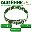 Ошейник брезентовый безразмерный однослойный, 58×2.5 см, хаки/зелёный - Фото 1
