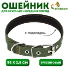 Ошейник брезентовый с подкладом, 58×2.5 см, хаки - Фото 1