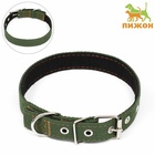 Ошейник брезентовый с подкладом, 58×2.5 см, хаки - Фото 2